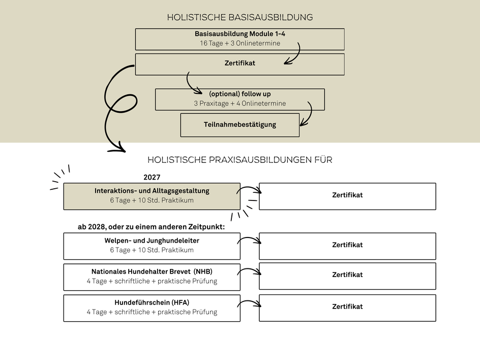 basisausbildung_module_1-4_16_tage__3_onlinetermine.png