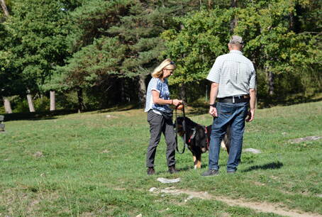 Hund im Recht Hund im Recht