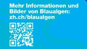 blaualgen_info2.jpg