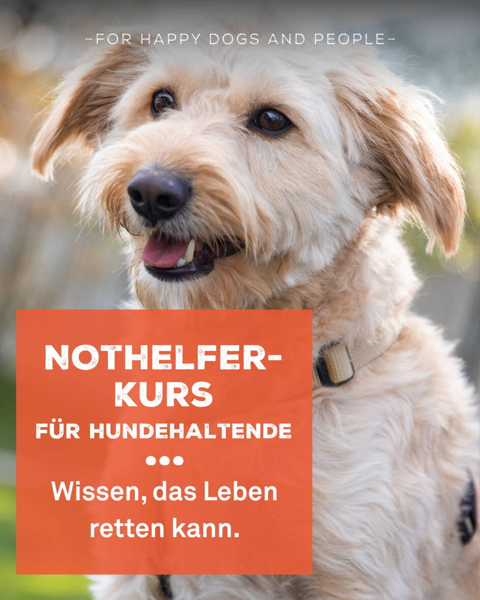 nothelferkurs.jpg nothelferkurs.jpg