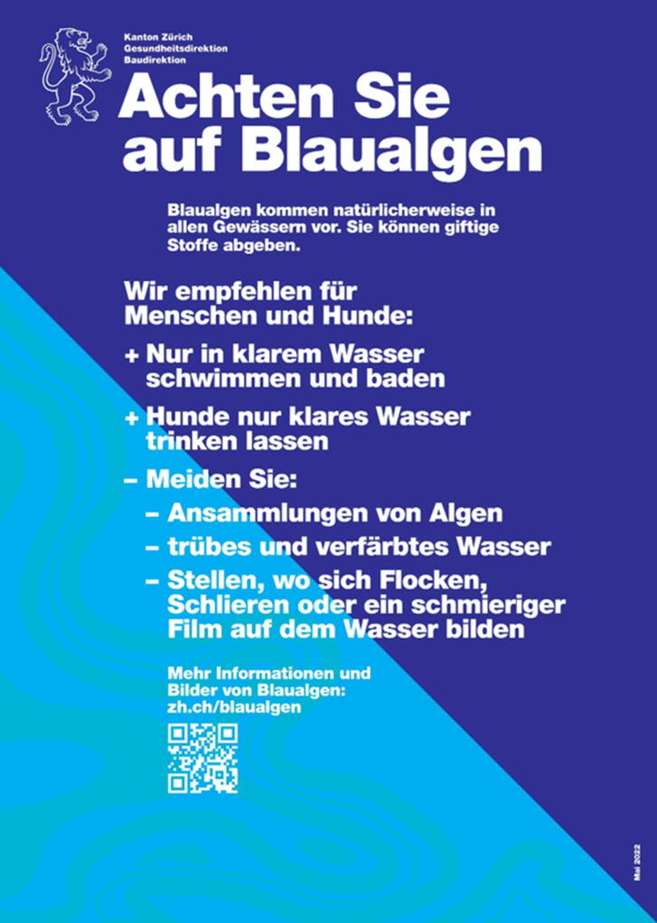 blaualgen2025_neu4.jpg