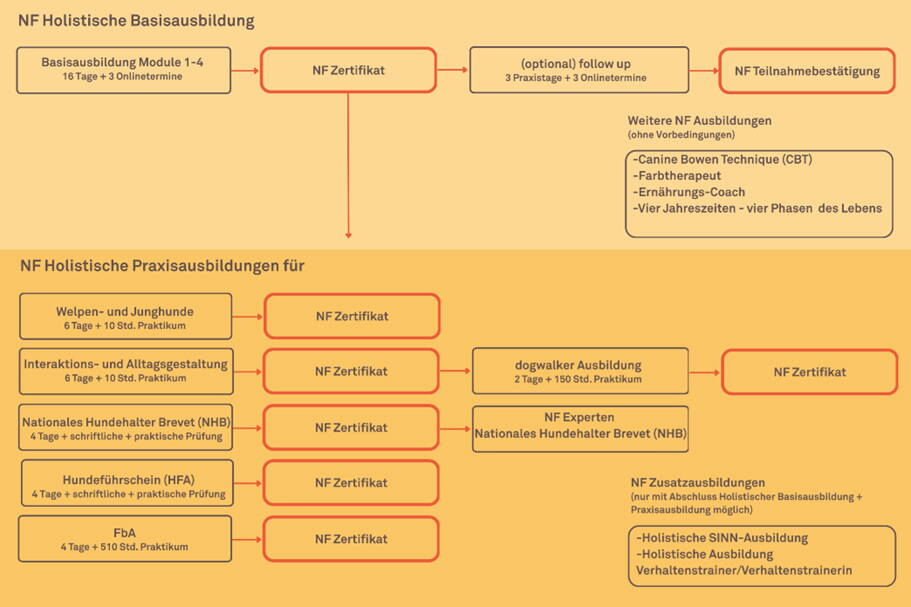 uebersicht_trainerausbildung.jpg uebersicht_trainerausbildung.jpg