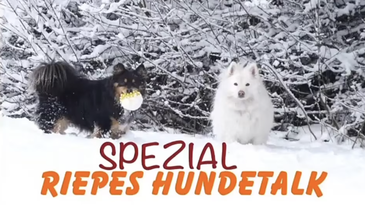 Christina Sondermann Christina Sondermann